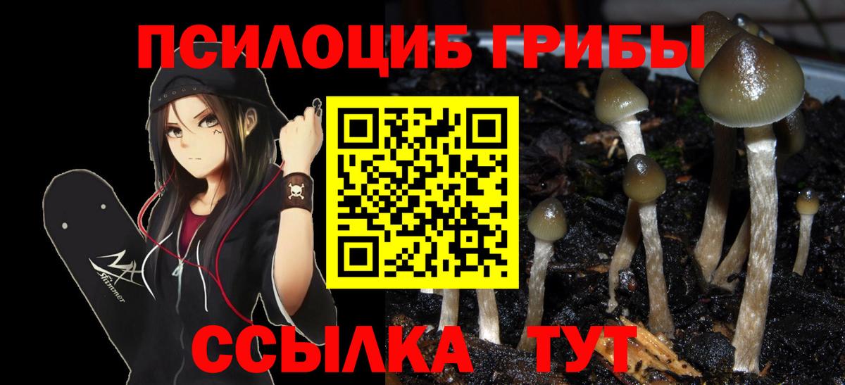 даркнет сайт  Псилоцибиновые грибы Psilocybe  Вход с VPN  Псилоцибиновые грибы прущие грибы  Россия 