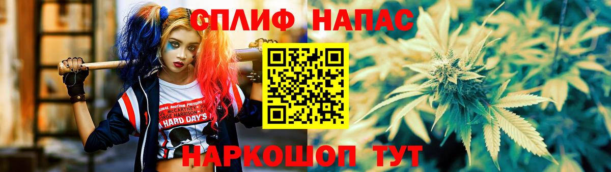 Шишки марихуана марихуана  Вход с VPN  Россия  Бошки Шишки план  Бошки марихуана сатива  Каннабис Amnesia 